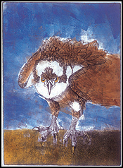 <i>Flipper</i> monotype etching by Kate Davis - selected for the prestigious Leigh Yawkey Woodson Birds in Art Exhibition.
