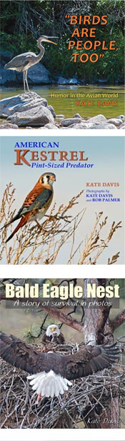Book Cover photos