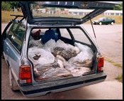 Food for the troops! Approx. 800 fresh chickens in the <i>Raptormobile</i>