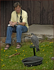 Author and artist, David Sibley does a sketch of Sibley, our Peregrine at a  program at Pine Butte Guest Ranch, with the Nature Conservancy. For nine years, we have been invited to do a program then go bird watching!